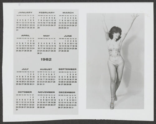 Download the full-sized image of Sir Lady Java 1982 Calendar