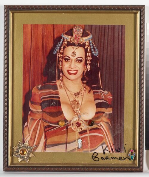 Download the full-sized image of Framed Photograph of Kiwi Carmen